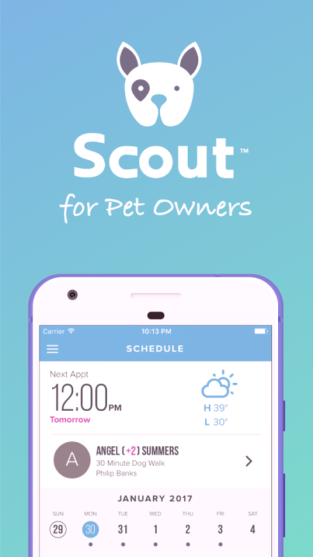 Scout App